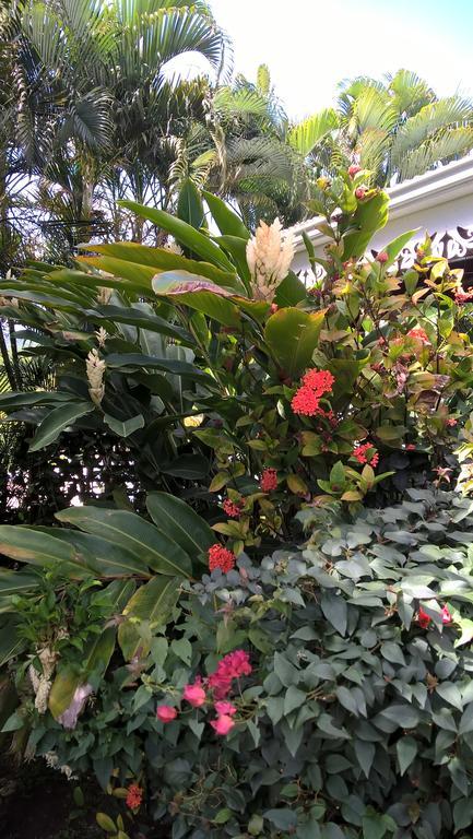 Cap Martinique Villa Sainte-Anne Dış mekan fotoğraf