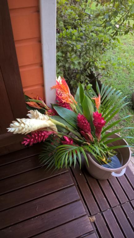 Cap Martinique Villa Sainte-Anne Dış mekan fotoğraf